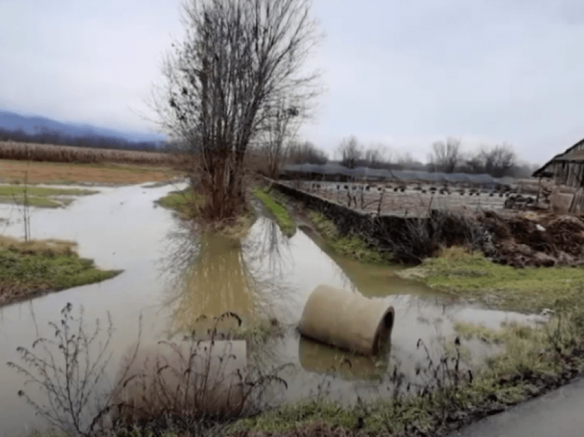Shirat në Tetovë vërshojnë tokat bujqësore!