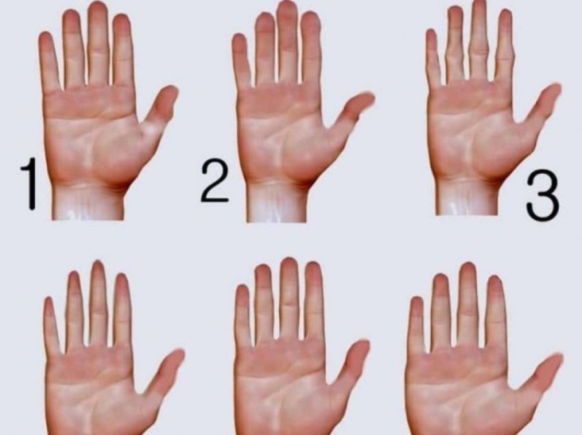 Zgjidh një dorë dhe zbulo çfarë tregon forma