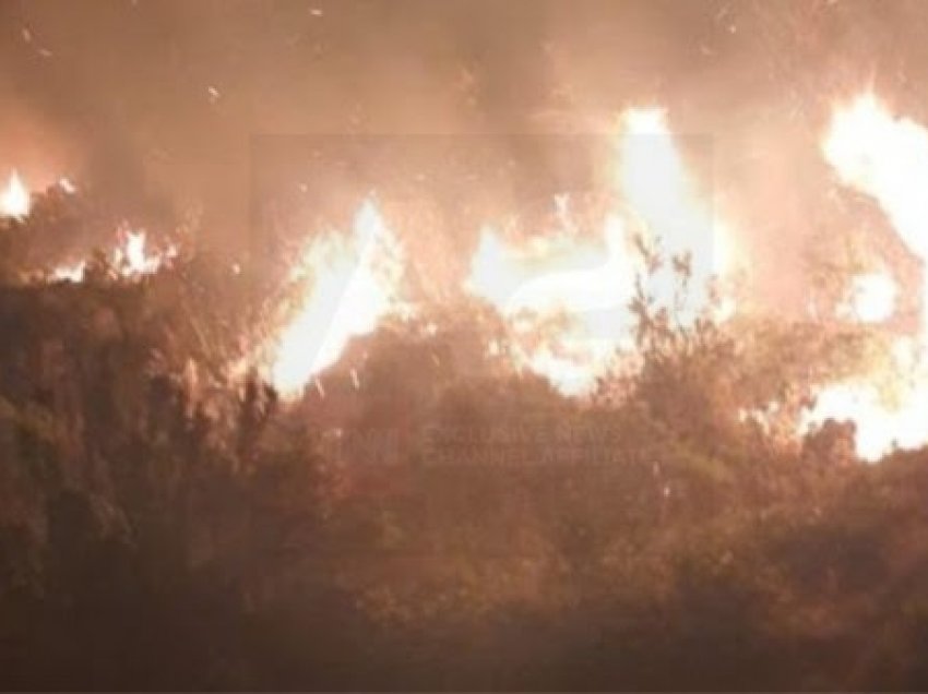 Zjarr masiv në Karaburun, angazhohen forcat zjarrfikëse