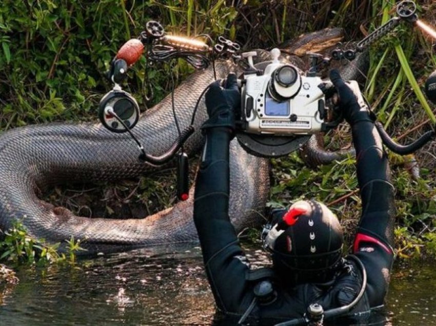 Anakonda gjigante fotografohen në lumenjtë e Brazilit