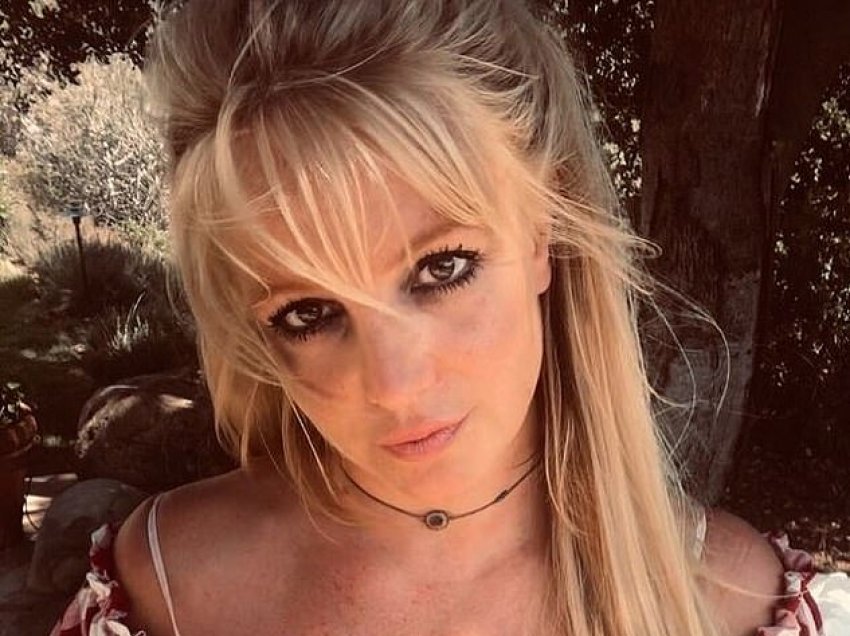 Vazhdon ‘beteja’ e Britney Spears me familjen për të rimarrë kontrollin mbi financat e saj