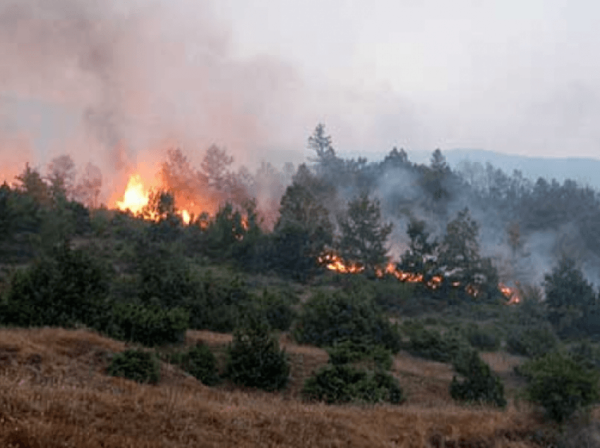 Tymi mbulon zonën, vazhdon djegia e fushës së mbetjeve në Patos