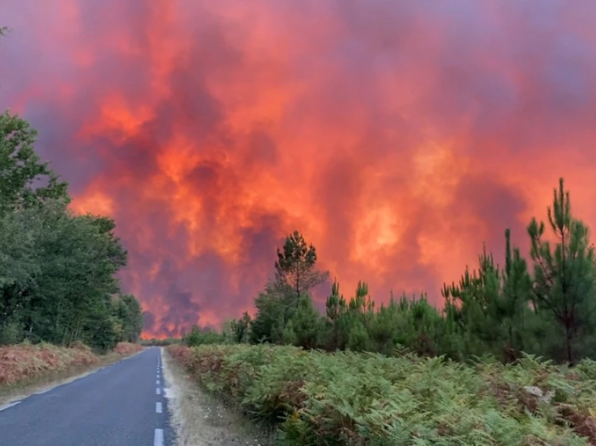 Zjarre masive në Francë, ndërsa vazhdon i nxehti dhe thatësira e skajshme