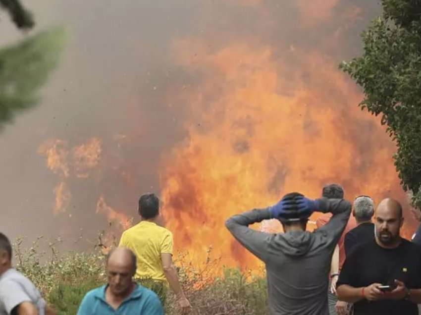 Rekord zjarresh këtë vit në Evropë, u dogjën mbi 700 mijë hektarë pyje