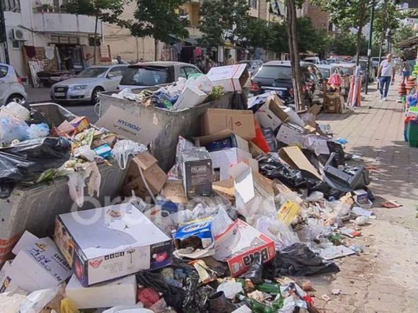 Viti i krizës së mbetjeve, Shkodra, Durrësi, Fieri e Vlora përjetuan gjendje emergjence mjedisore