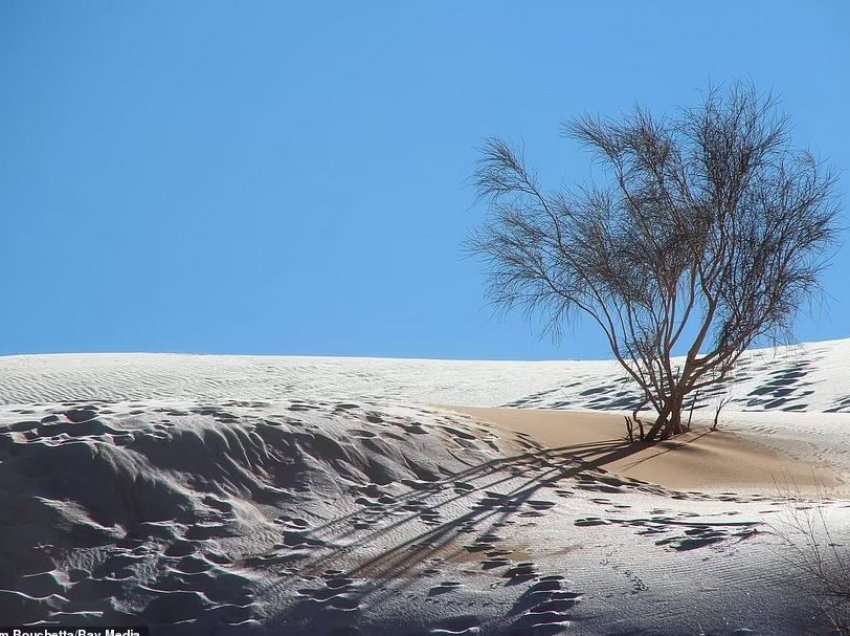Sërish borë në Sahara