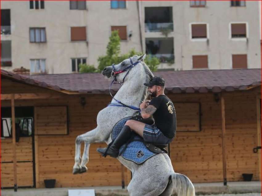 Mbeti i vrarë nga atentati me tritol/ Nga pasioni për kuajt, tek shoqëria me dy reperët e njohur! Si e reklamonte jetën në rrjete sociale, 27-vjeçari