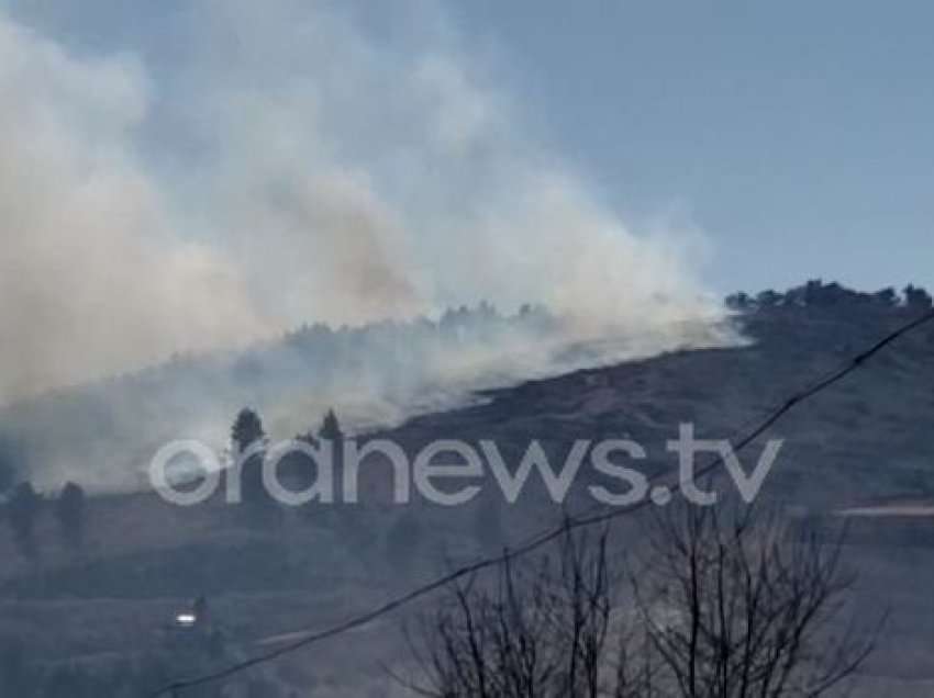 Zjarr në guroret e Dimalit, digjen dhjetëra hektarë me pisha