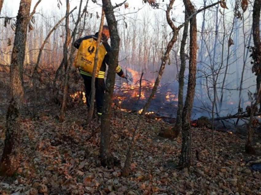 ​Zjarr në pyje, digjen 30 hektarë në Gjakovë