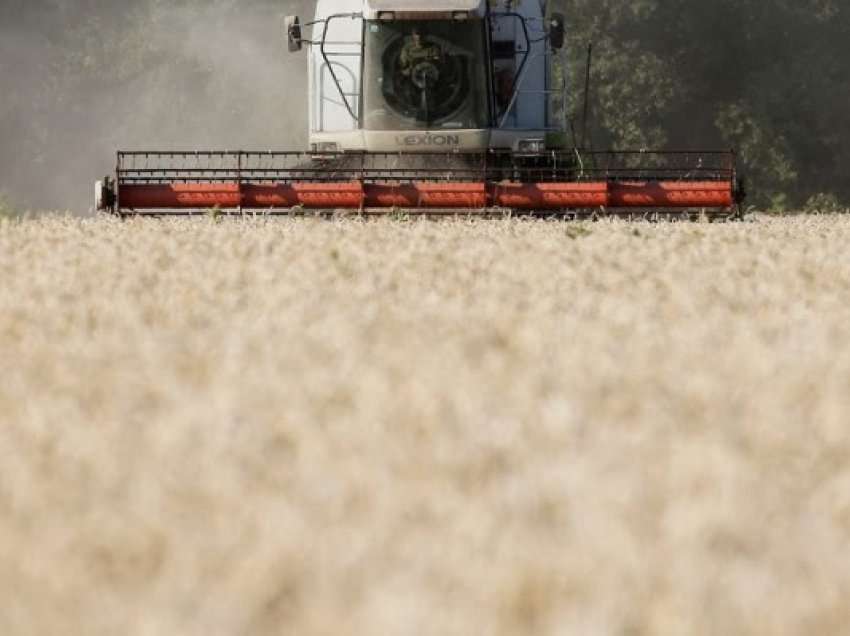 Ukrainës i mungon hapësira për ruajtjen e grurit për eksport