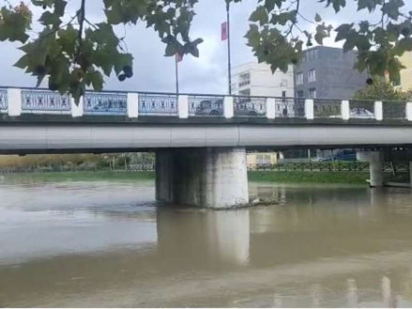Përmbytjet në Lezhë, prezencë uji në tokat bujqësore të Zadrimës dhe në Torovicë