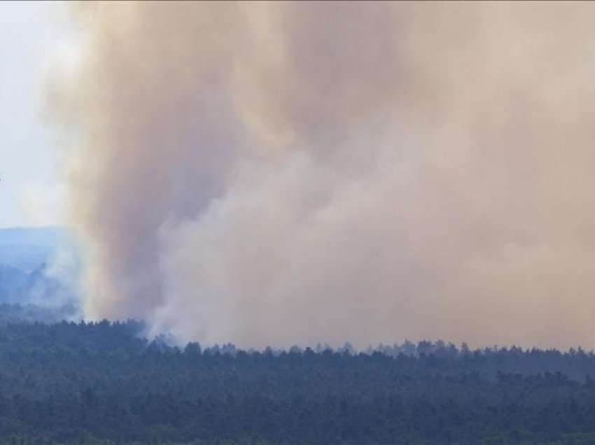 Gjermani, shpallet gjendje emergjente për shkak të zjarrit pyjor në malet Harz