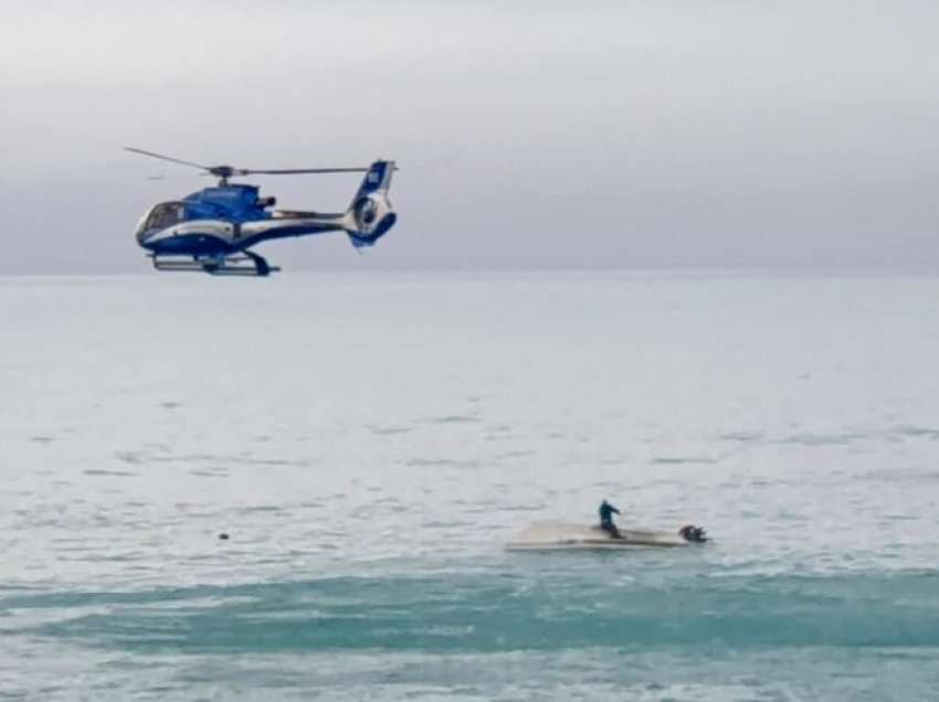 Pesë të vdekur në Zelandën e Re pasi varka u përplas me një balenë