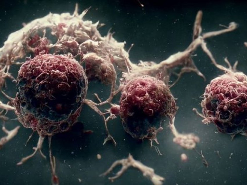 Studim i paprecedentë: Shkencëtarët zbulojnë se sa shpejtë mund të zhvillohet kanceri