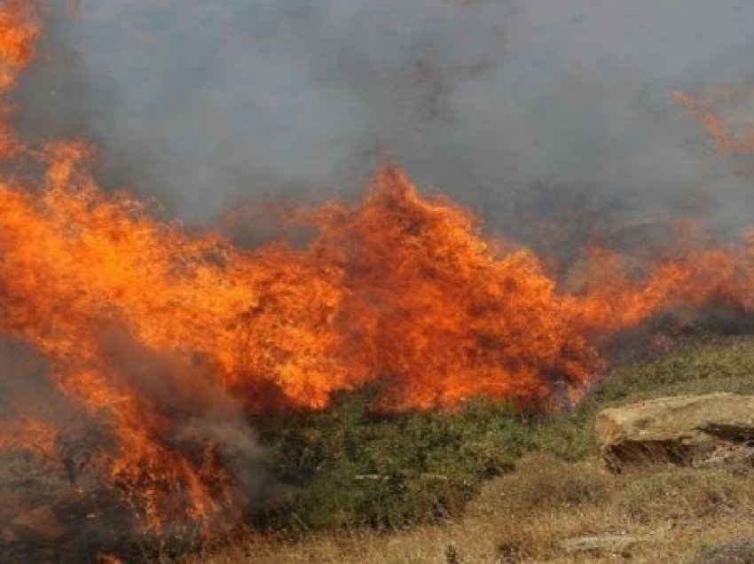 Zjarri në Melia, Aleksandropolis: 112 dërgon mesazhe në katër vendbanime