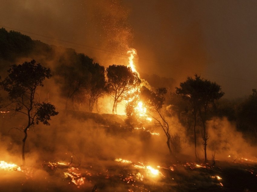 Greqi: 79 persona të arrestuar për zjarrvënie që lanë të vdekur së paku 20 persona