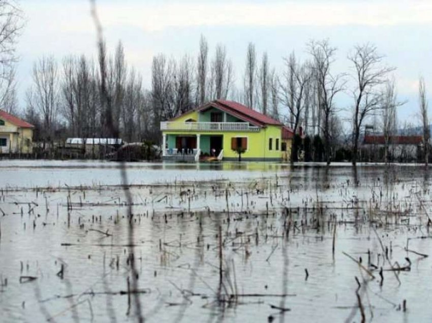 1100 hektarë tokë e përmbytur në Shkodër