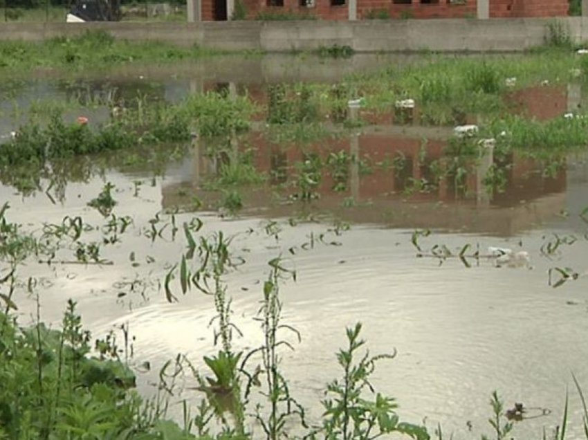Maqedoni, reshjet e mëdha të shiut përmbytin arat me kultura bujqësore