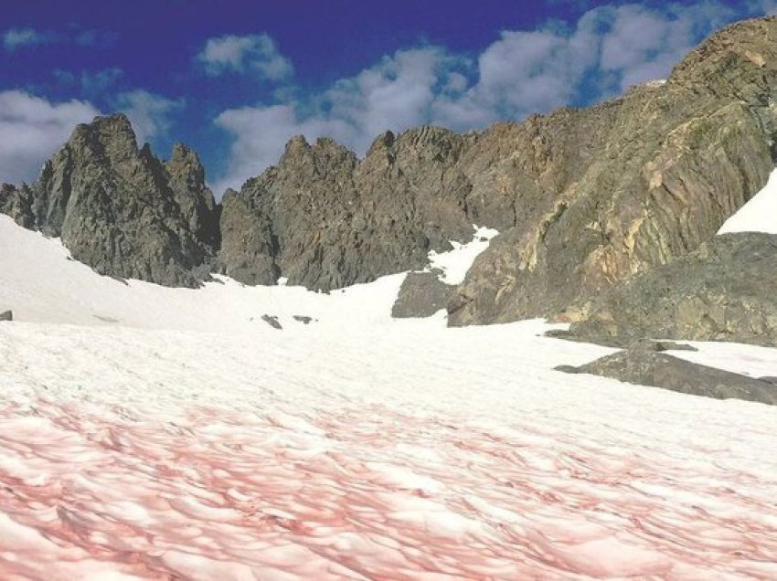 Fenomeni i pazakontë, malet në Utah të mbushura me borë ngjyrë rozë!