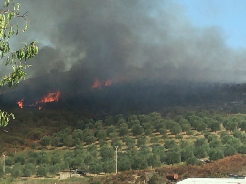 Zjarr pranë fshatit Risili të Vlorës, tre zjarrfikëse në vendin e ngjarjes