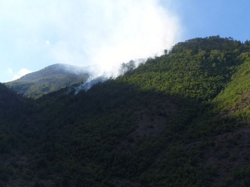 Shuhet vatra e zjarrit që dogji dhjetëra hektarë pyje në Bulqizë