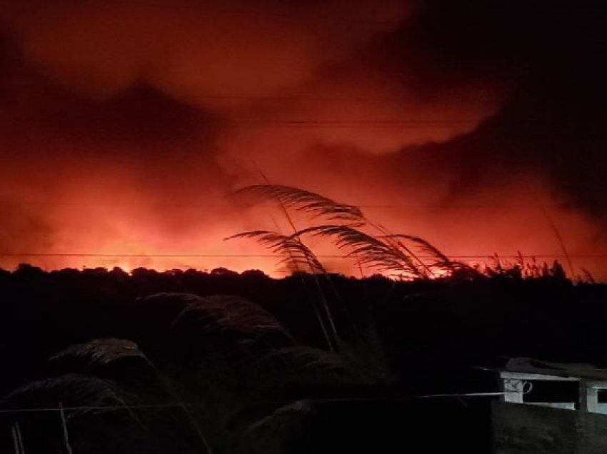 Aktivizohet sërish zjarri në pyllin me pisha në Darëzezë
