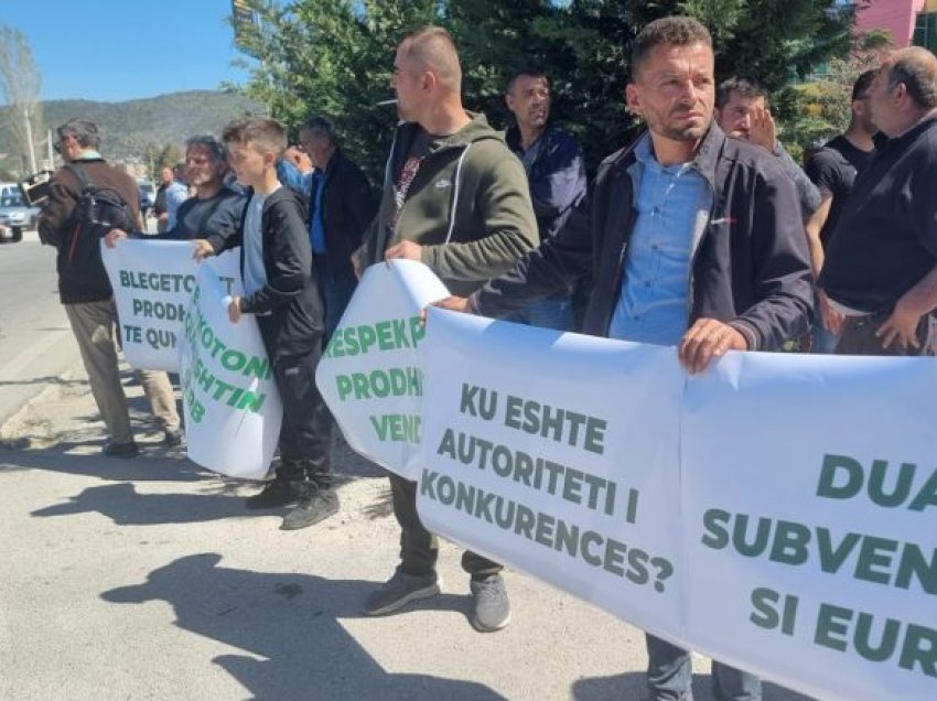“Bojkotoni qumështin serb”, blegtorët shqiptarë në protestë për çmimet e ulëta të qumështit dhe mungesën e subvencioneve