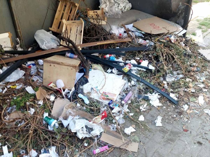 Kompania ‘Pastrimi’ nis aksionin për largimin e mbeturinave në kryeqytet