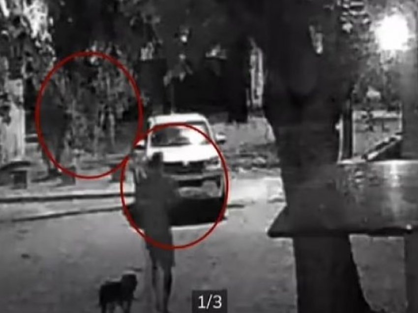 U grindën për qen, avokati brazilian vret fqinjin – shtiu mbi 30 plumba mbi 73-vjeçarin