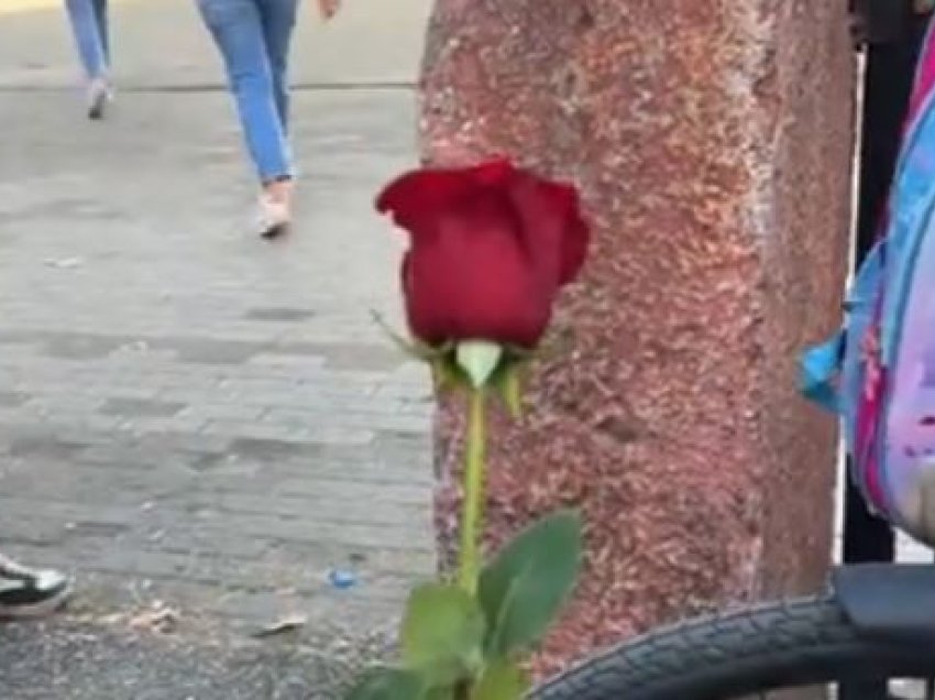 E dhimbshme: Nxënësit vendosin lule në bankën e 2 motrave që u mbytën në Bunë! 