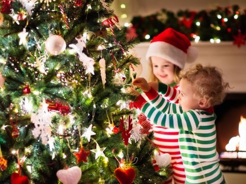 Mbani fëmijët larg bimëve të Krishtlindjes