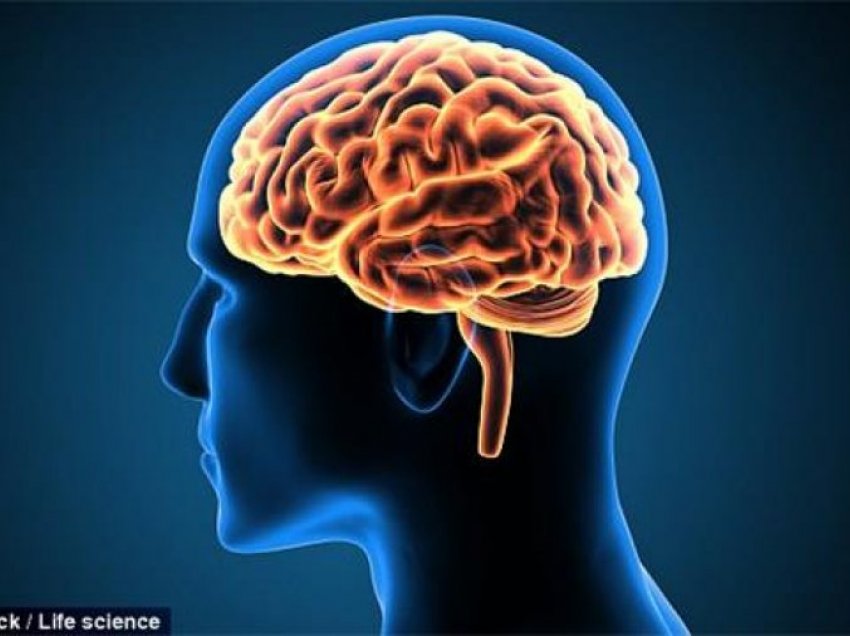Mënyrat befasuese se si asimetria e trurit ndikon në jetën tonë të përditshme