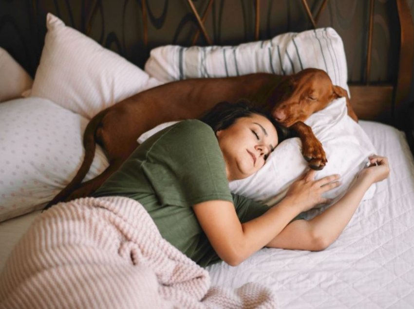 A duhet ta lejoni qenin tuaj të fle në shtrat me juve?