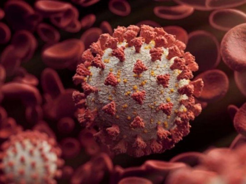 Koronavirusi po vazhdon të përhapet, varianti i ri zbulohet edhe në Izrael e Irlandën e Veriut