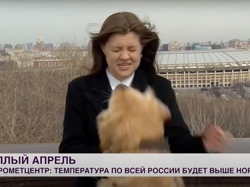 Gazetarja e motit tmerrohet kur qeni i kap me dhëmbë mikrofonin gjatë transmetimit direkt