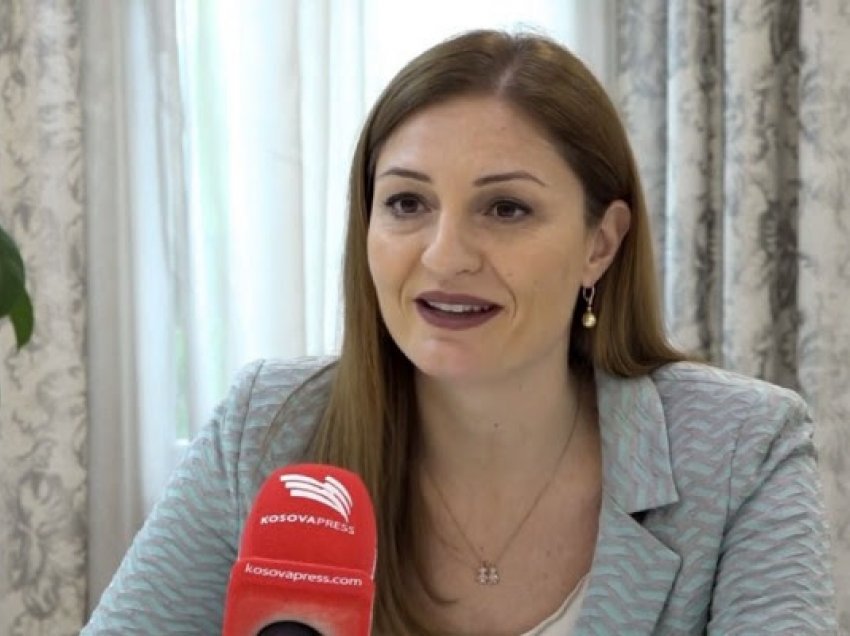 ​Gjosha: Shqipëria duhet të luajë rol më aktiv për liberalizimin e vizave për Kosovën