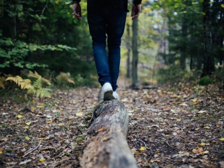Suedezi zbulon një thesar të vjetër gjatë një shëtitje në pyll