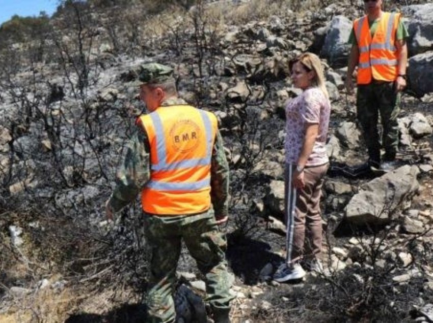 ​Situata me zjarret në Shqipëri, vjen reagimi i Ministrisë së Mbrojtjes