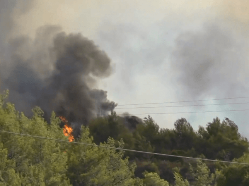 Zjarr i madh në malet e fshatit Koshtovë të Vllahisë, banorët po kërkojnë ndihmë