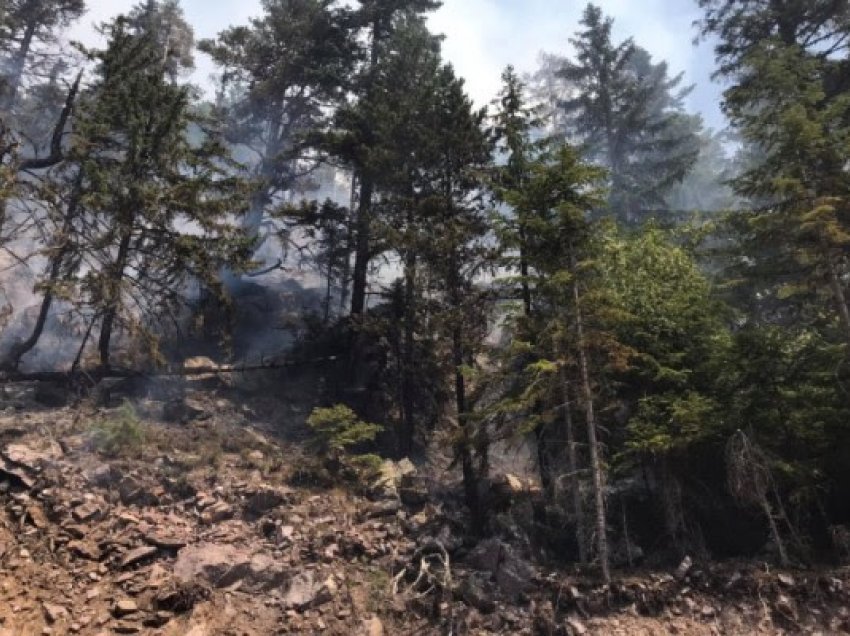 ​Stane e hektarë të djegur në “Bjeshkët e Nemuna”, Morina: Erërat po e shpërndajnë zjarrin