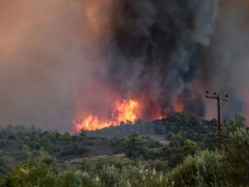 Dukati vijon të jetë në flakë, zjarret kanë dëmtuar dhe kurorën e pyllit të Llogorasë