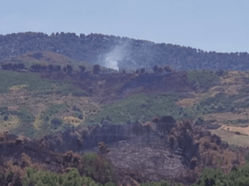 Zjarret në Gjorgoz, dhjetëra hektarë pyje të shkrumbuara