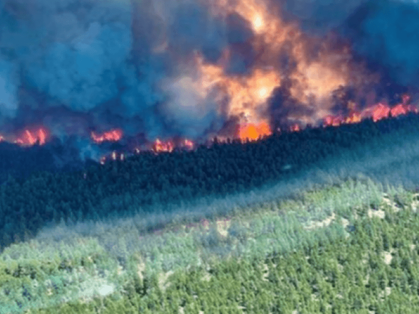 Në Gjilan përfshihen nga zjarri 20 hektarë 