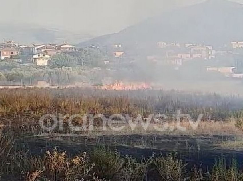 Berat, zjarr në një parcelë afër ish-uzinës së baterive