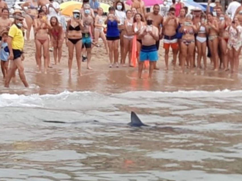 Peshkaqeni 8 metra i gjatë del në breg, tmerrohen pushuesit