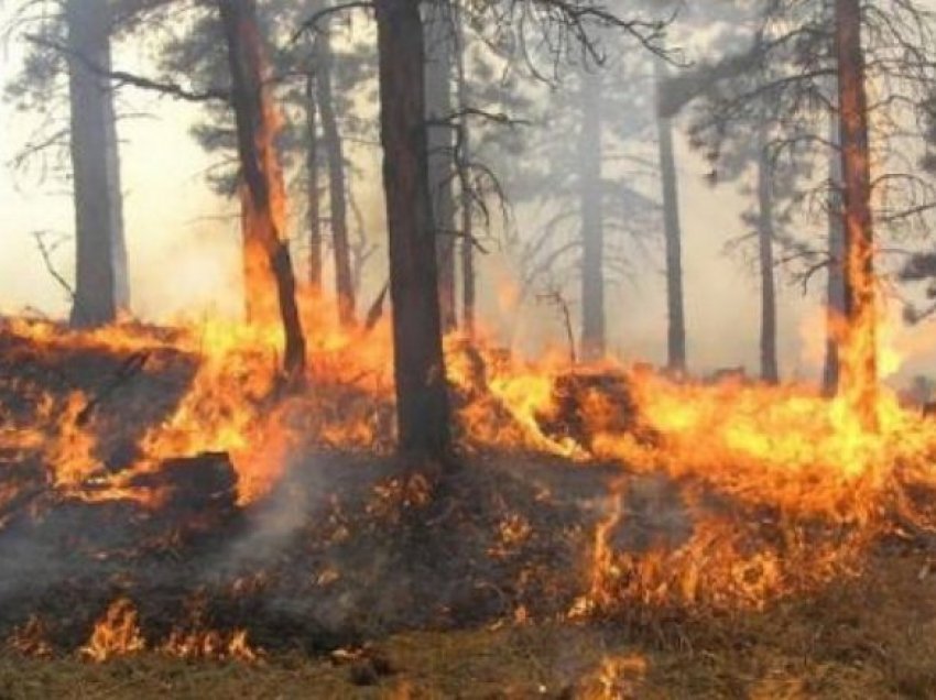 Kritike situata në Majën e Rrunës, përhapet në pyllin e dendur vatra e zjarrit 