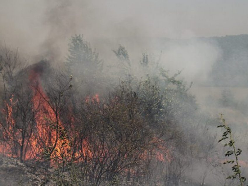 Shiu e vuri nën kontroll zjarrin në malin Goten