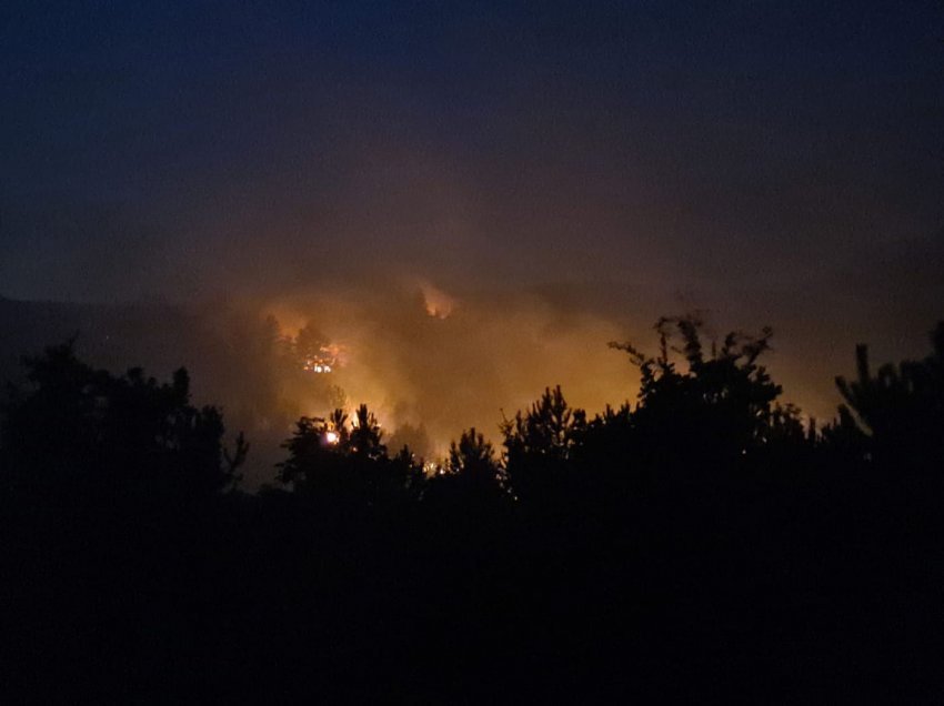Gjendje alarmante në Suharekë, janë kapluar nga zjarri malet me pisha në Biraq 