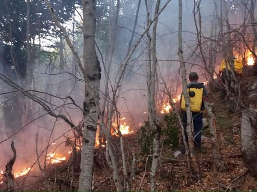 Zjarret po djegin pyjet në Shkodër, Lezhë, Dibër e Vlorë, problematike mbetet Maja e Rrunës 