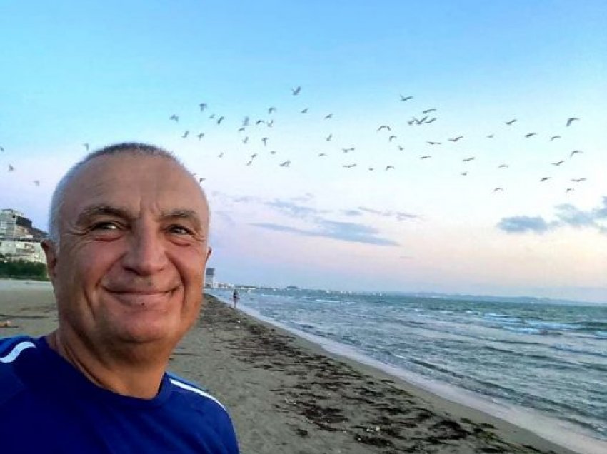 Meta publikon foton nga plazhi: Një poezi kjo pasdite me pulëbardha buzë Adriatikut